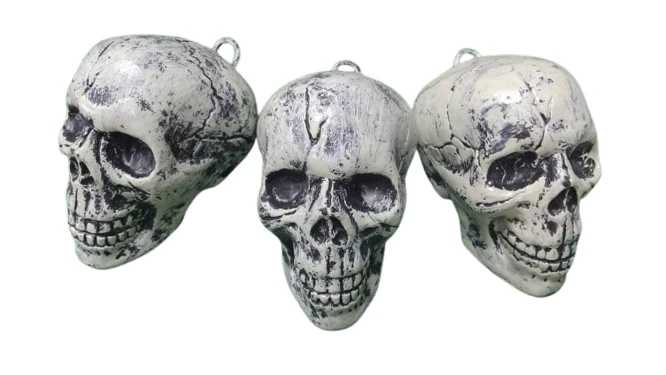Cráneo de calavera para decoración's foto | Yiyi Shop |  BizneCubano